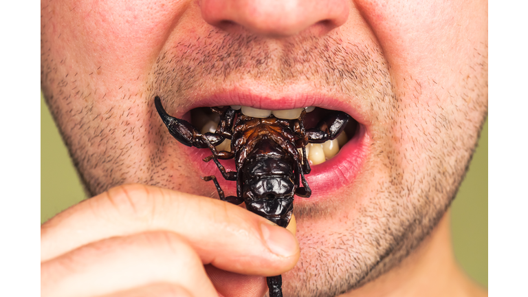man eats a scorpion