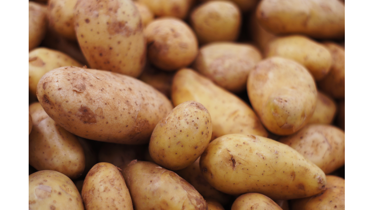 group of brown fresh potatoes SELECTIVE FOCUS