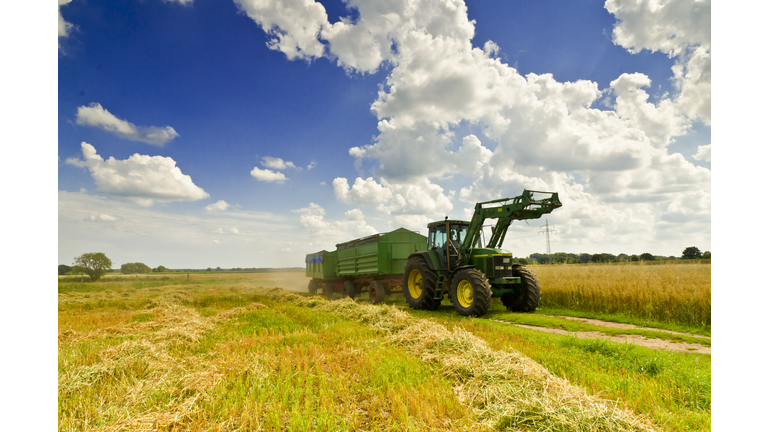 harvest time