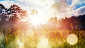 GMO Dangers & Home Farming