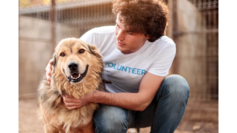 Volunteer taking care of dog in shelter