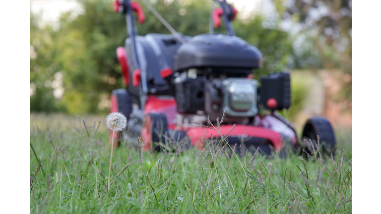 Red lawn mower on the meadow, close up