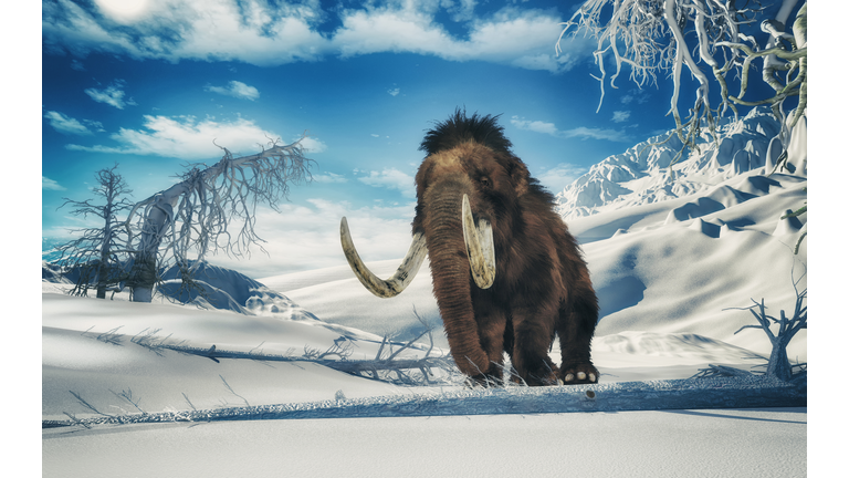 Mammoth in the middle of mountains . This is a 3d render illustration