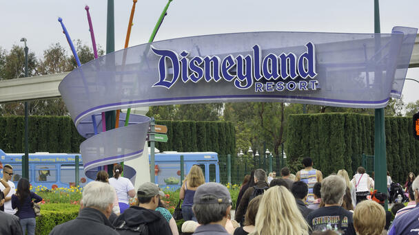 Disneyland Attraction Shuts Down After Someone Spreads Ashes On It