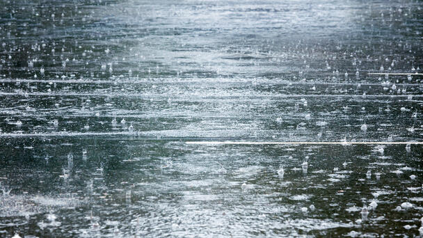 Drenching Rain, Heat Continue to Bake New Jersey