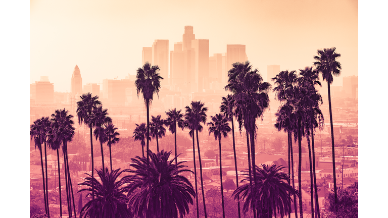Los Angeles skyline with palm trees in the foreground
