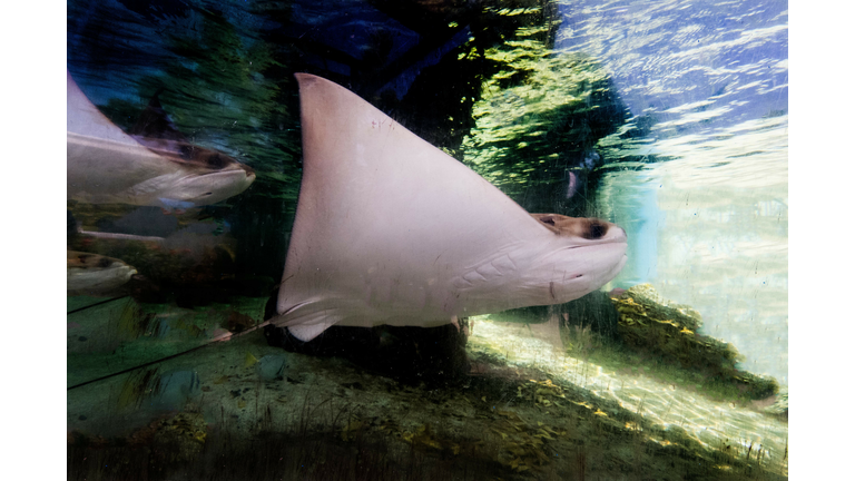 COSTARICA-MARINE-PARK