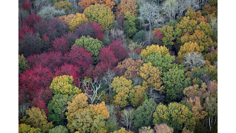 Autumn Colours Arrive In The UK