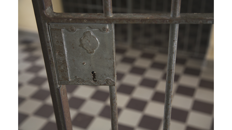 One cell door lock