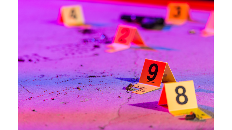 Shell Casing Evidence