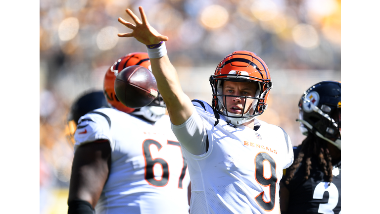 Cincinnati Bengals v Pittsburgh Steelers