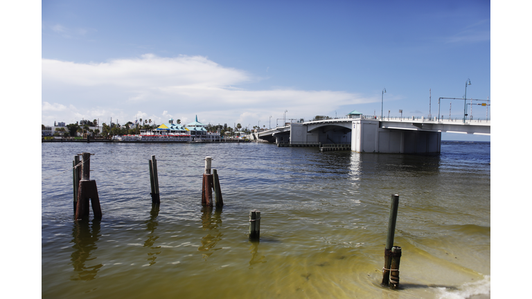 Red Tide Leaves Dead Fish Along Coastline