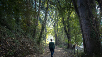 More Odd Disappearances