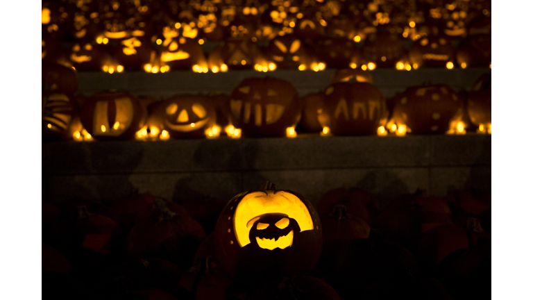 Installation Of 3,000 Pumpkins Unveiled In London