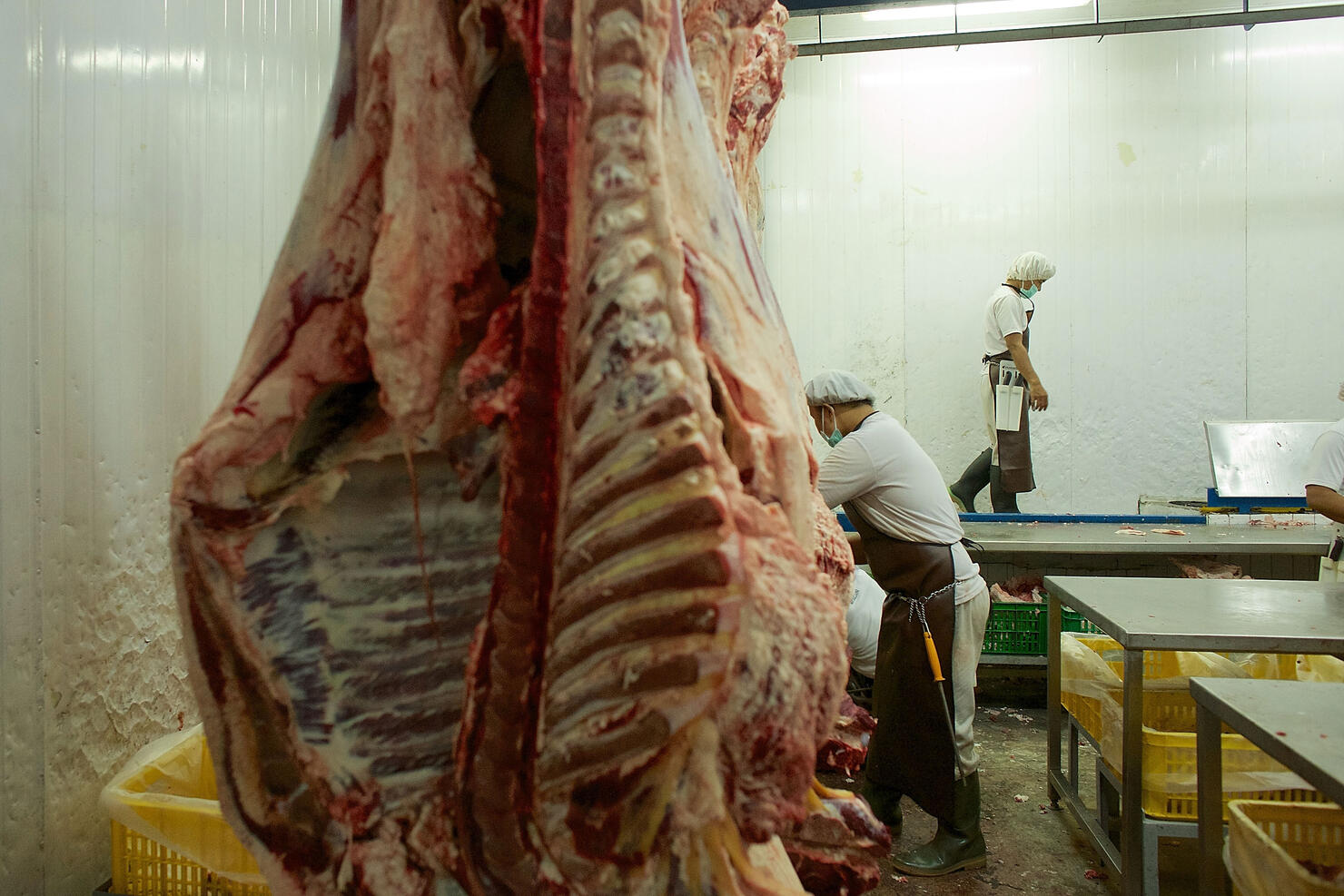 Indonesian Government Looking To Stabilize Beef Prices
