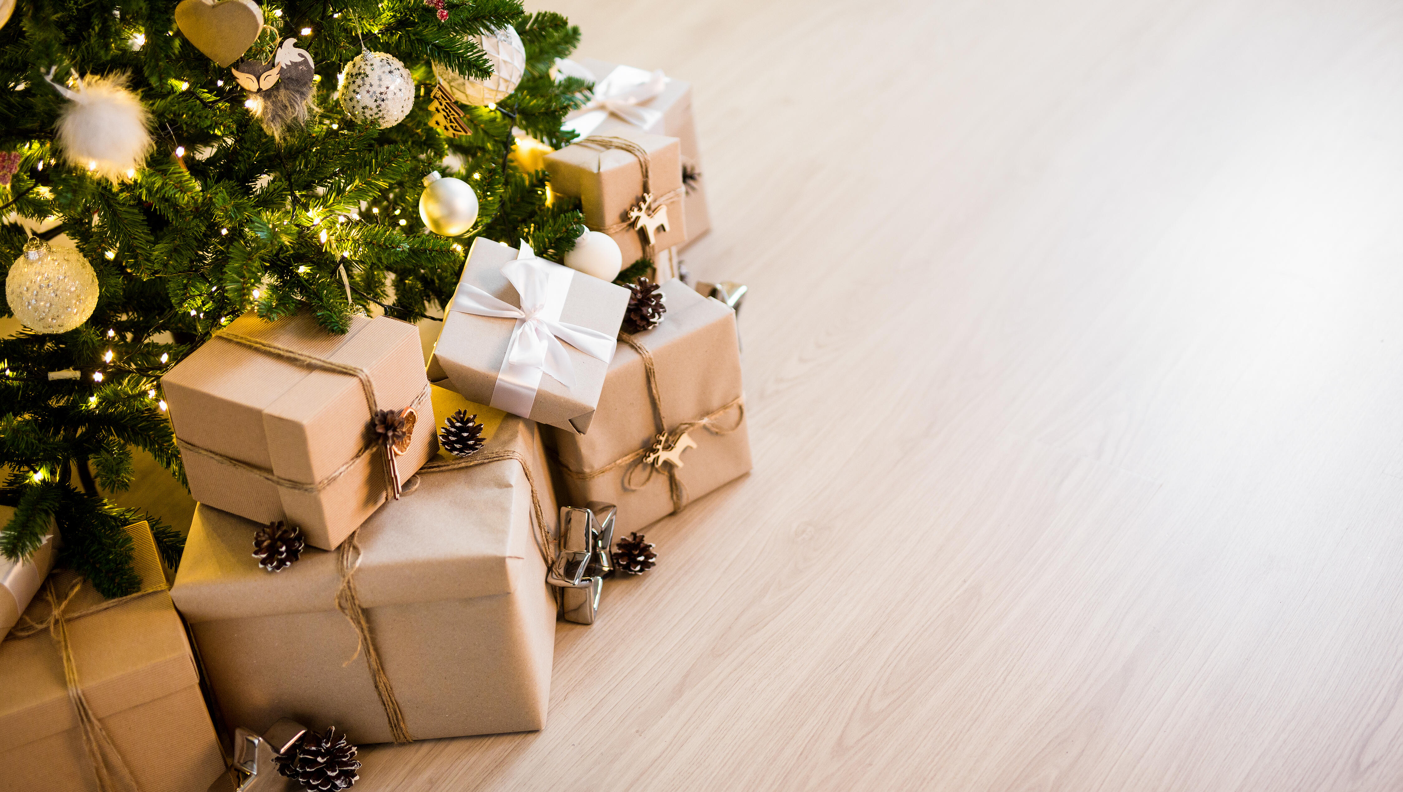 The Wish Tree Program