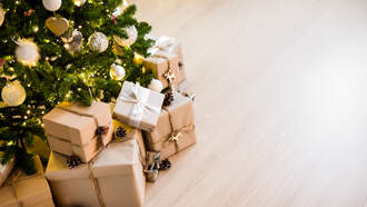 The Wish Tree Program