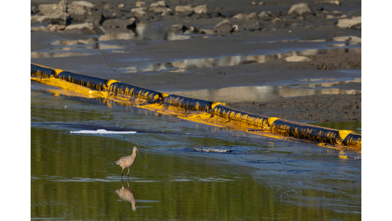 US-ENVIRONMENT-POLLUTION-OIL