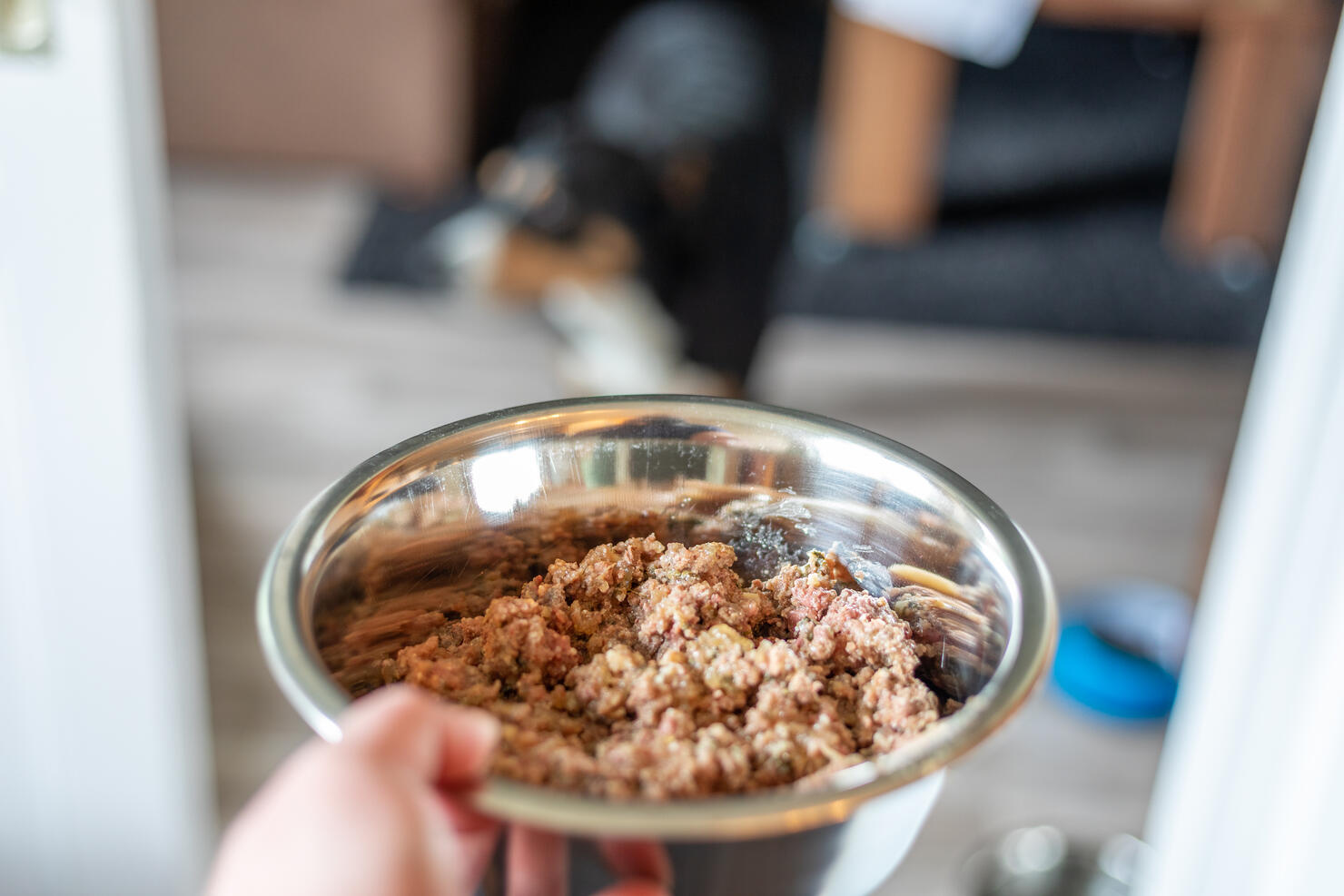 Canned food for cats or dogs in metal bowl