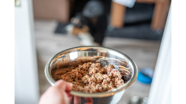 Canned food for cats or dogs in metal bowl