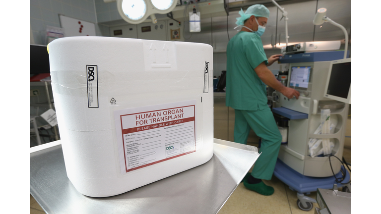 Germany Debates Organ Transplant System