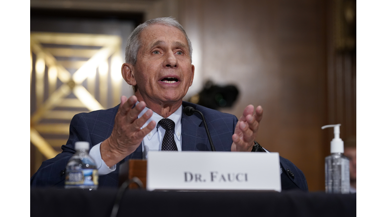 Dr. Fauci Testifies To Senate Health Committee On Country's COVID-19 Response