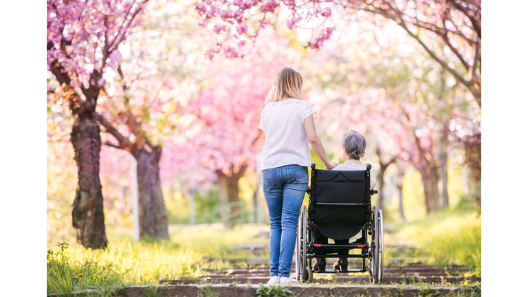 Elderly grandmother in wheelchair with granddaughter in spring nature.