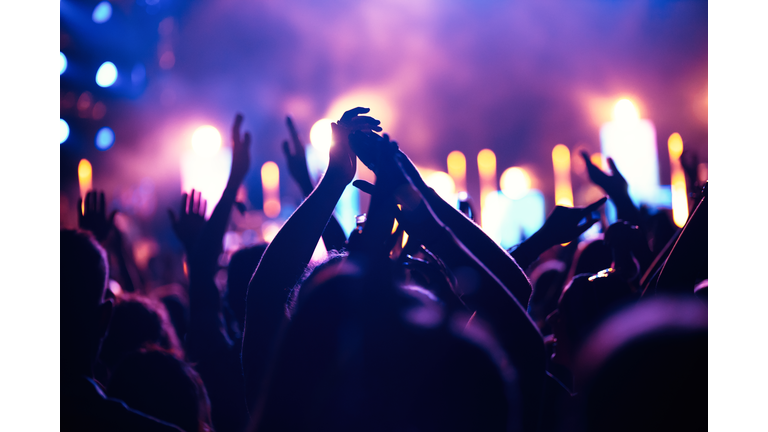 Cheering crowd with hands in air at music festival