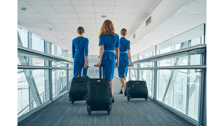 Airline female employees walking with their luggage