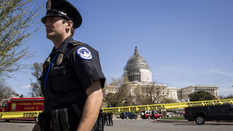 Woman Armed With Baseball Bat Bites Police Officer Near U.S. Capitol