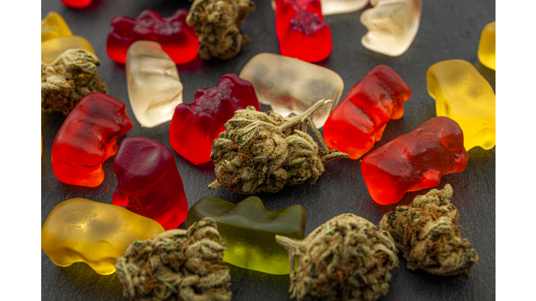 Cannabis edibles, medical marijuana, CBD infused gummies and edible pot concept theme with close up on colorful gummy bears and weed buds on dark background