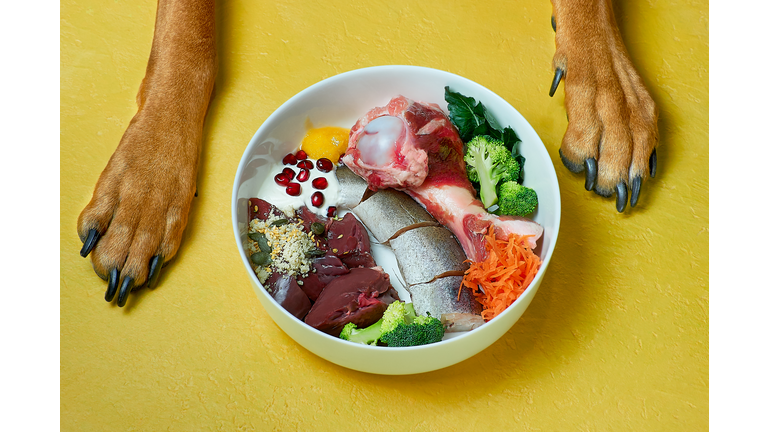 Healthy natural pet food in bowl and dog's paws on yellow background.