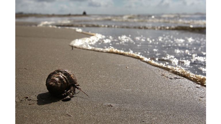 Gulf Coast Struggles With Oil Spill And Its Economic Costs