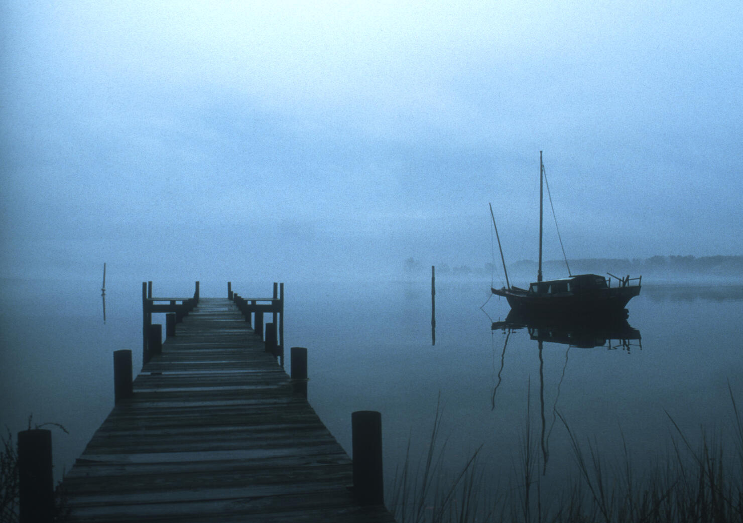 Moody Morning