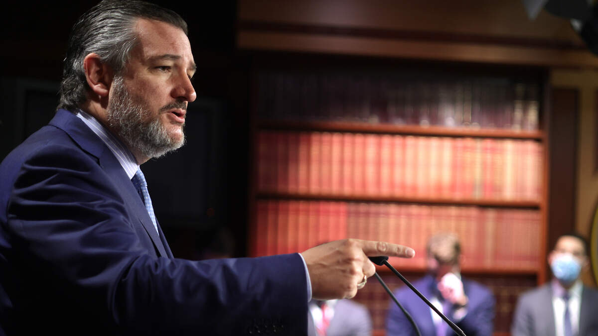 Senator Cruz Proposal On Immigration Draws Fire