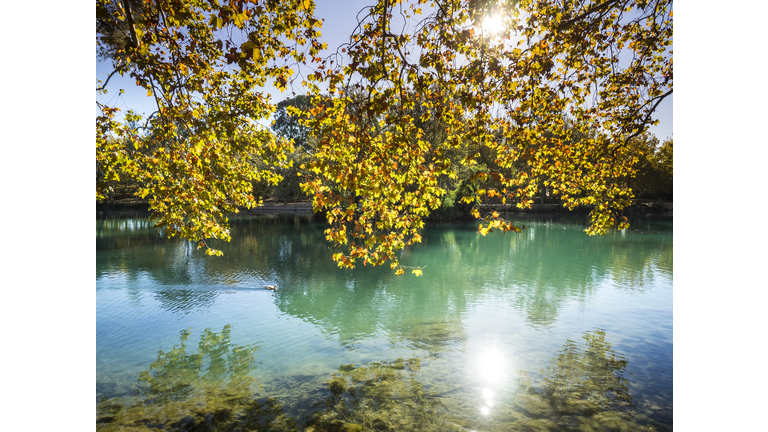 Shore of a lake in autumn with the leaves of the trees of colors and the light of the Sun reflected in the transparent and clean water of color turquoise. Spain