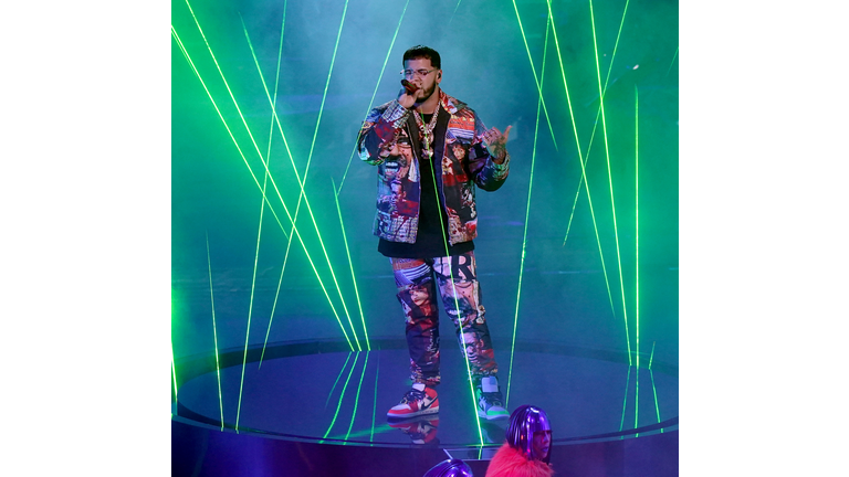 The 21st Annual Latin GRAMMY Awards - Show
