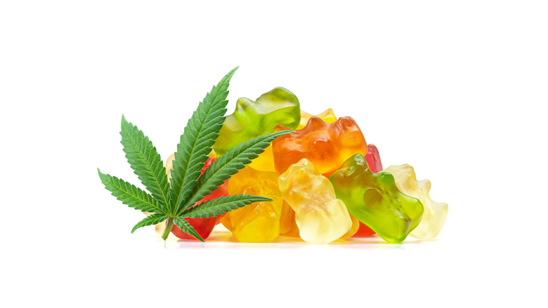 Gummy Bear Medical Marijuana Edibles (CBD or THC Candies) with Cannabis Leaf Isolated on White Background