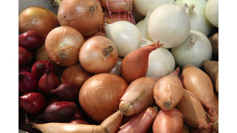 International Green Week 2018 Agricultural Trade Fair