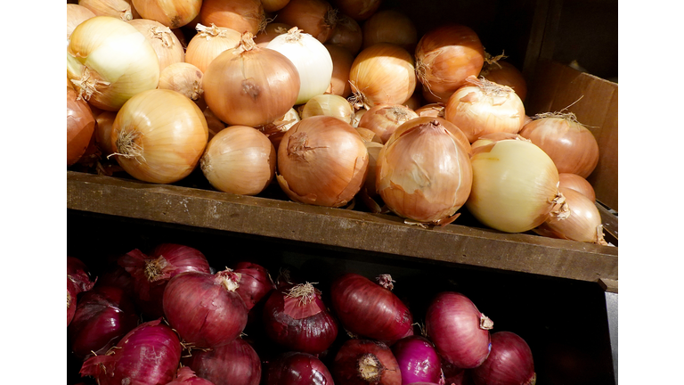 Onions Linked To Salmonella Outbreaks In 37 States