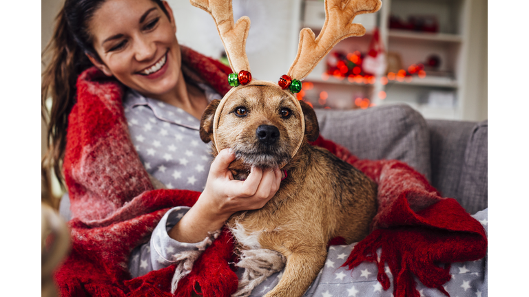 Her Dog Loves Christmas