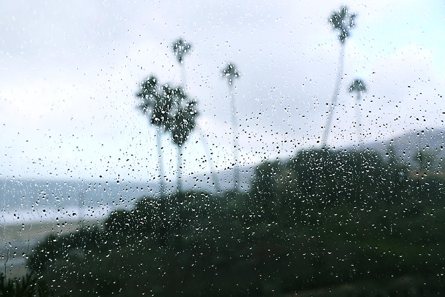 Rain in Los Angeles Malibu Ca