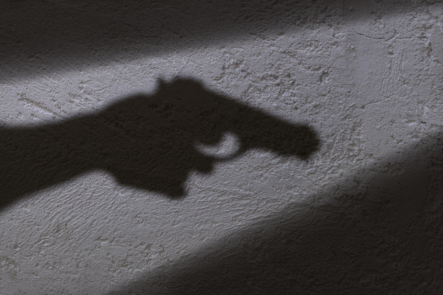Shadow and gun