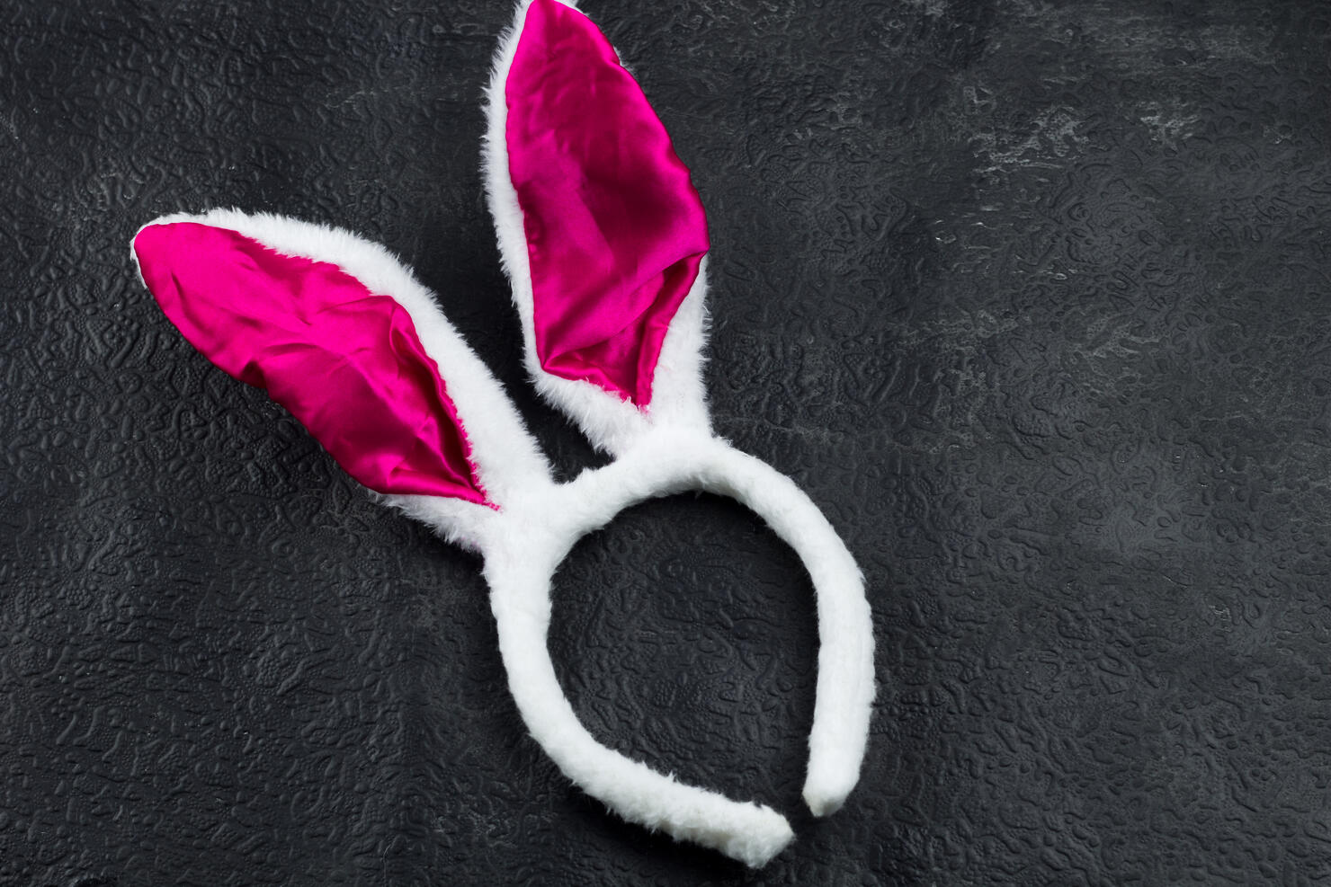 Funny bunny white ears top view