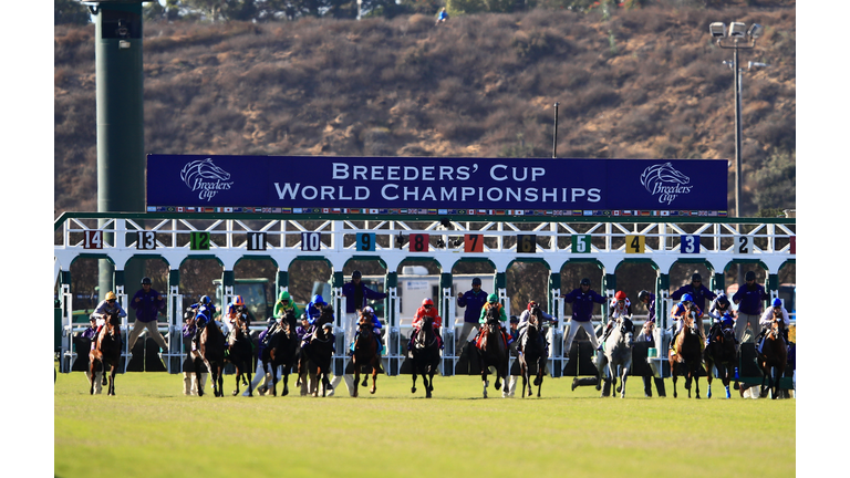 2017 Breeders' Cup World Championships at Del Mar - Day 2