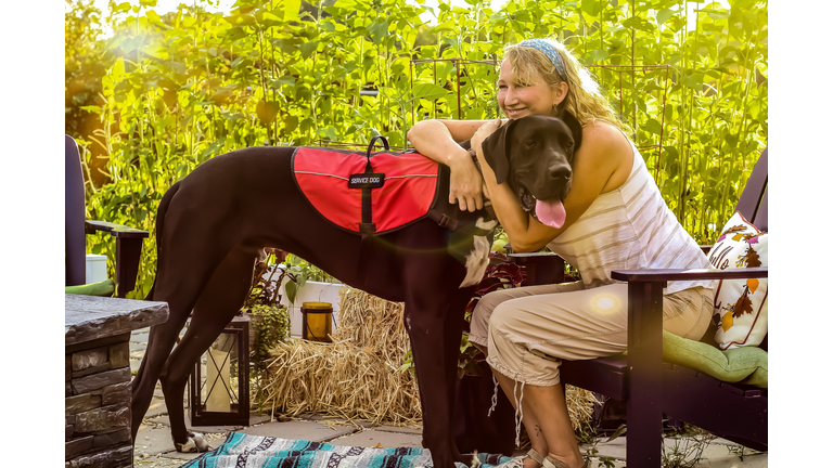 Middle aged woman with mobility issues is able to enjoy her garden patio outdoors with her Great Dane service dog helping her