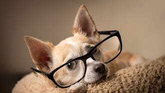 Happy Smart is Cool Day!