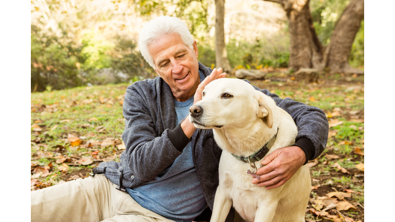 Senior man with his dog in park