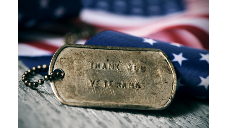 text thank you veterans in a dog tag