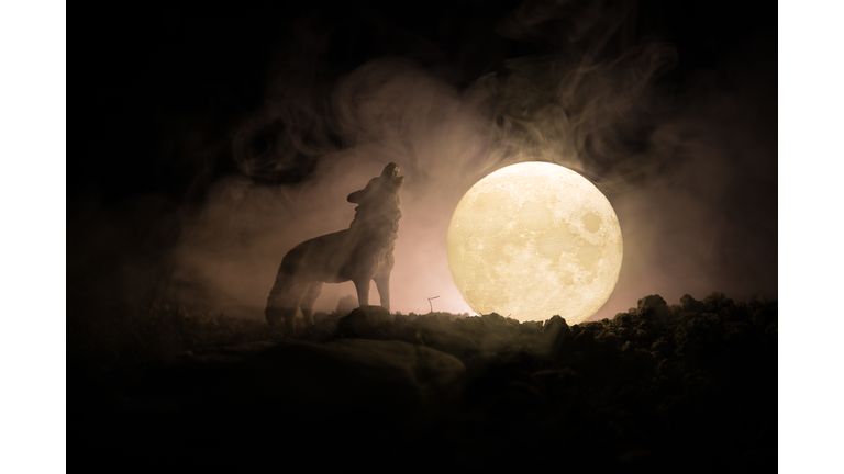 Silhouette of howling wolf against dark toned foggy background and full moon or Wolf in silhouette howling to the full moon. Halloween horror concept.